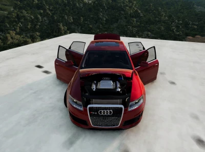 Audi RS6 v1.0 0.29.x