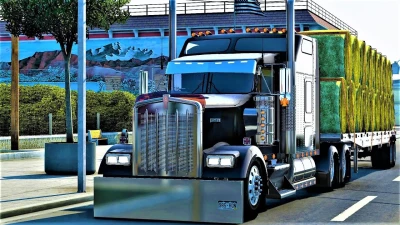 CTTM Kenworth W900L Flatglass v1.48
