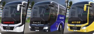 ETS 2 Setra S 517 HDH 1.24.x