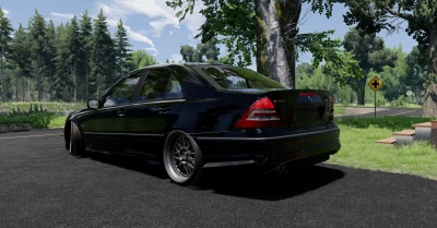 Mercedes-Benz C-Class W203 v1.0 0.29.x