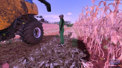 New Corn texture v1.0.0.0