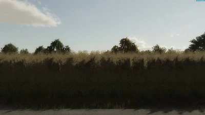 Rapeseed texture v1.0.0.0