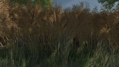 Realistic Canola Growth v1.0.0.0