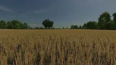 Realistic Canola Growth v1.0.0.0
