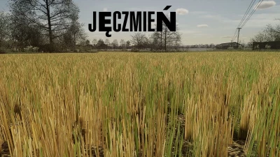 Stubble Texture (Wheat/Barley) v1.0.0.0