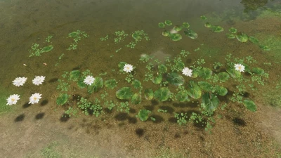 Water Lilies Mix - v1.0.0.0