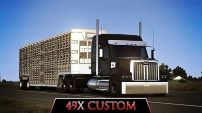 49X Custom by 55six v1.0 1.48