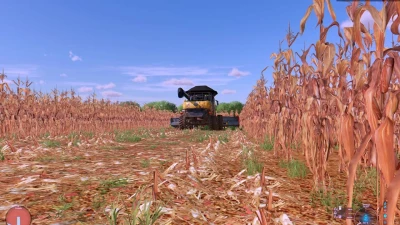 New corn texture with more real effects v1.0.0.0