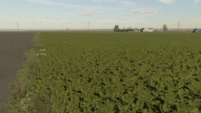 Sugar beet textures v1.0.0.0