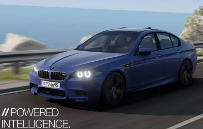 BMW 5-Series F10 [PACK] 0.31.x