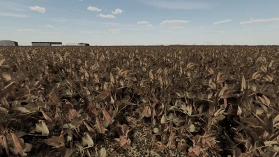 Foliage Peas v1.0.0.0