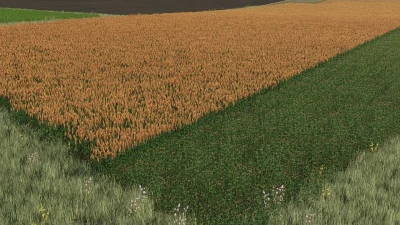 New sorghum texture ready for harvest v1.0.0.0