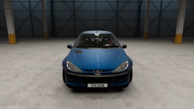 Peugeot 206 v1.0