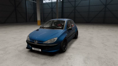 Peugeot 206 v1.0