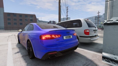 AUDI RS5 B9 / 0.33.X