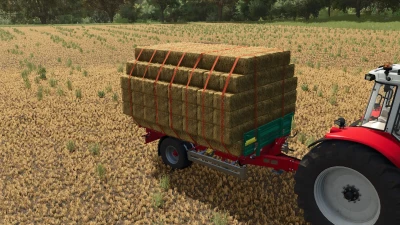 Bale Autoload Pack v1.0.0.0