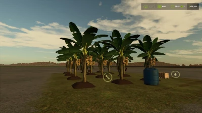 BANANA PLANTATION v1.0.0.0