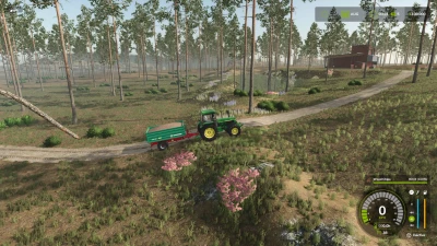 PONDEROSA PINE FOREST v1.0.0.1