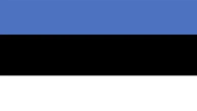 Estonia expansion (Promods addon) v0.2 1.49