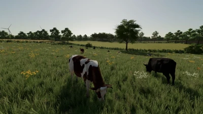 Le Petit Ouest v1.1.0.0