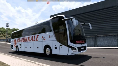 New MAN LIONS PAMUKKALE TURIZM SKINPACK v1.0