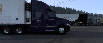 Prime Inc Lt Skin 1.49