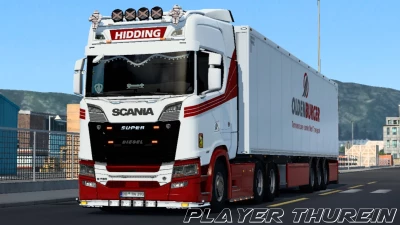Scania Skin C9 v1.0