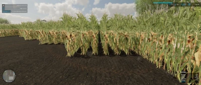 Coming Home v1.0.0.2