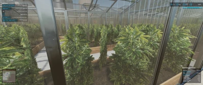 Coming Home v1.0.0.2