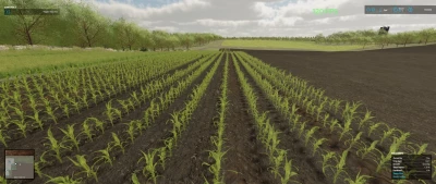 Coming Home v1.0.0.2