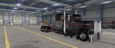 Cowboy skin for Pinga 389 1.49