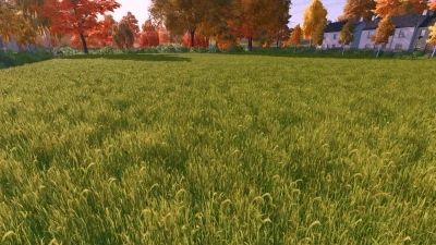 FS22 Grass Texture v1.0.0.0
