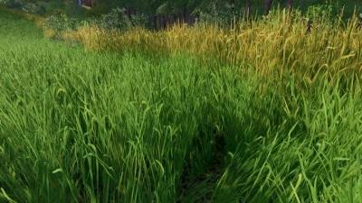 FS22 Grass Texture v1.0.0.0
