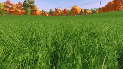 FS22 Grass Texture v1.0.0.0