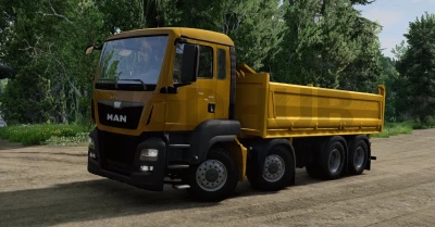 MAN TGX/TGS V1.0 0.31