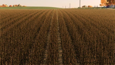 Medcreek edit v1.0.0.0