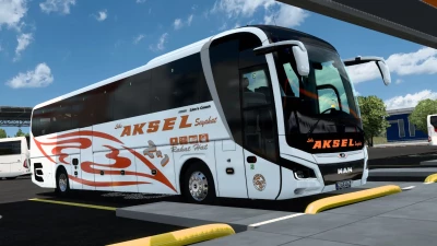 NEW MAN LİONS COACH LÜKS AKSEL SKİNPACK v1.0