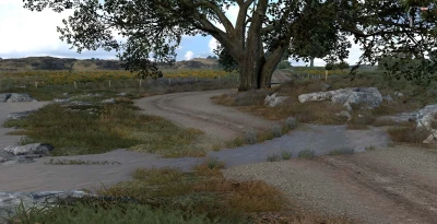 Schulenburg Ranch 1.49