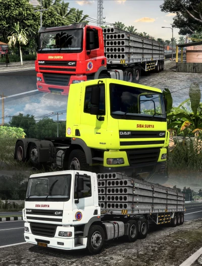 Siba Surya Skins for DAF CF v1.0