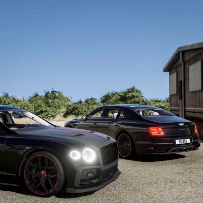 Bentley Flying Spur 2019-24 +( Mansory, Keyvany, Tuscon, Mulliner) 0.32.x