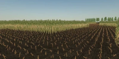 Corn maze v1.0.0.0