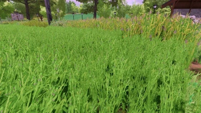 Grass texture with alfalfa v1.0.0.0