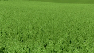 Grass texture with alfalfa v1.0.0.0