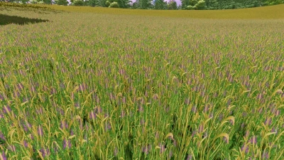 Grass texture with alfalfa v1.0.0.0