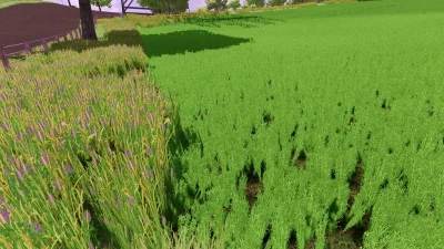 Grass texture with alfalfa v1.0.0.0