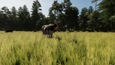 KALINOVKA MAP V3.0.0.0