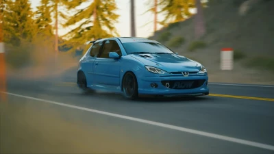 Peugeot 206 RC Street v3.2