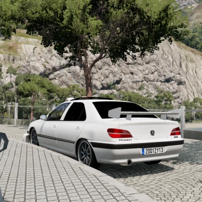 Peugeot 406 2007 v1.0