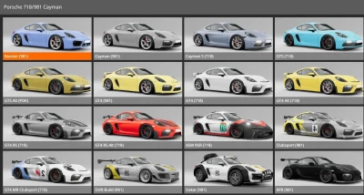 Porsche Cayman 718/981 Pack Beta 0.32.x