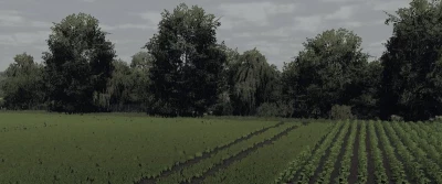 Save + Modpack ŹDZIECHÓW v1.0.0.0